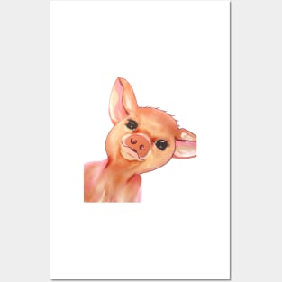 Cute Piggy Posters and Art